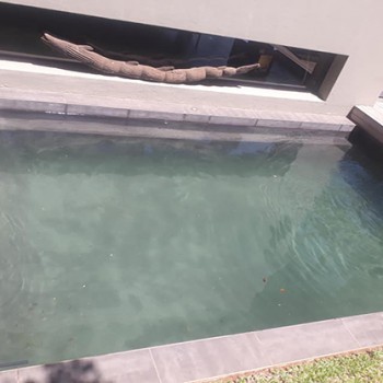 Swimming pool marbelite services Gauteng.
